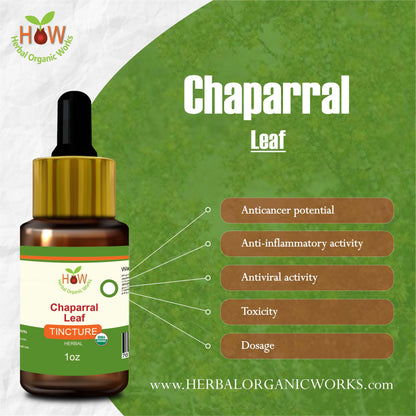 Chaparral Leaf