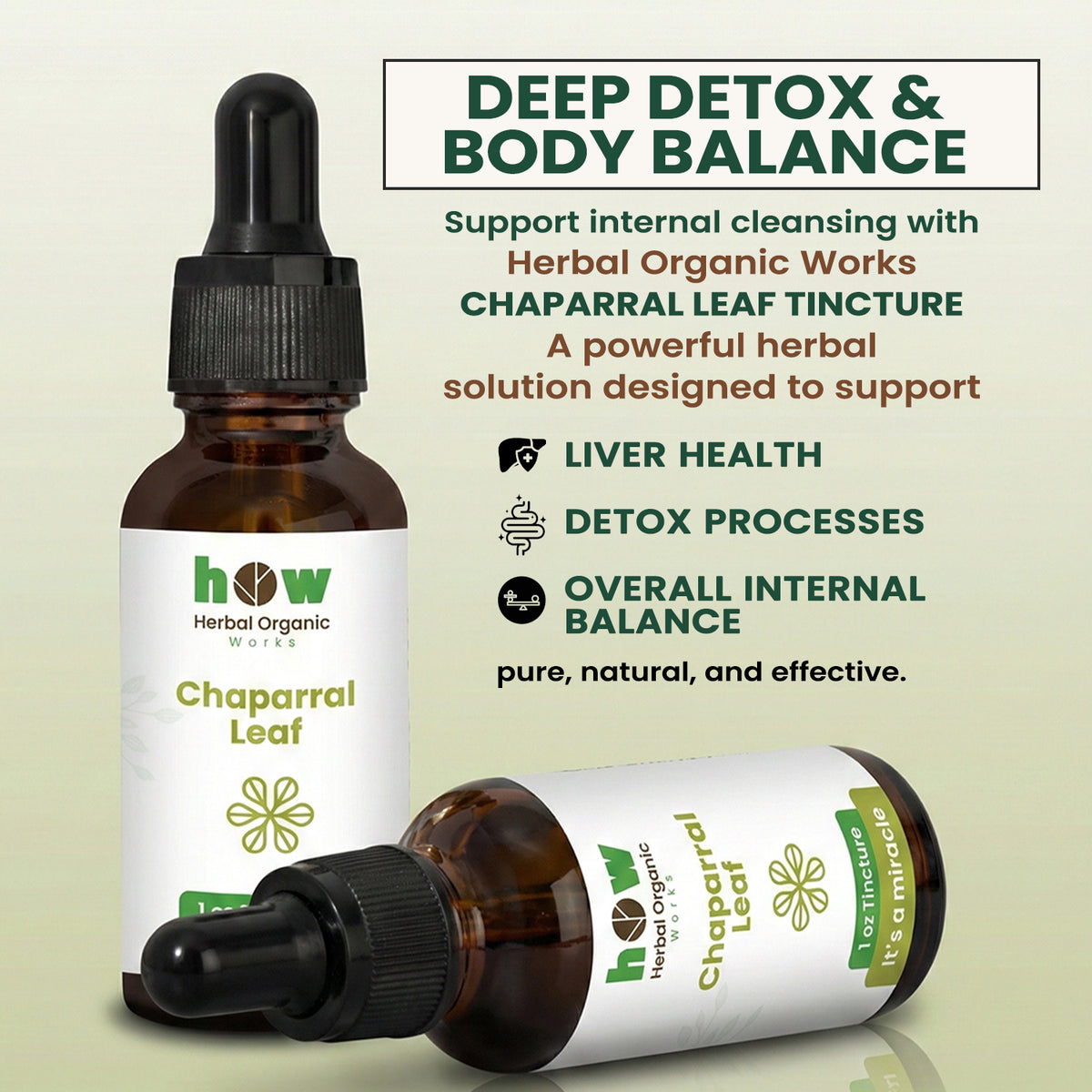 chaparral leaf extract for body
