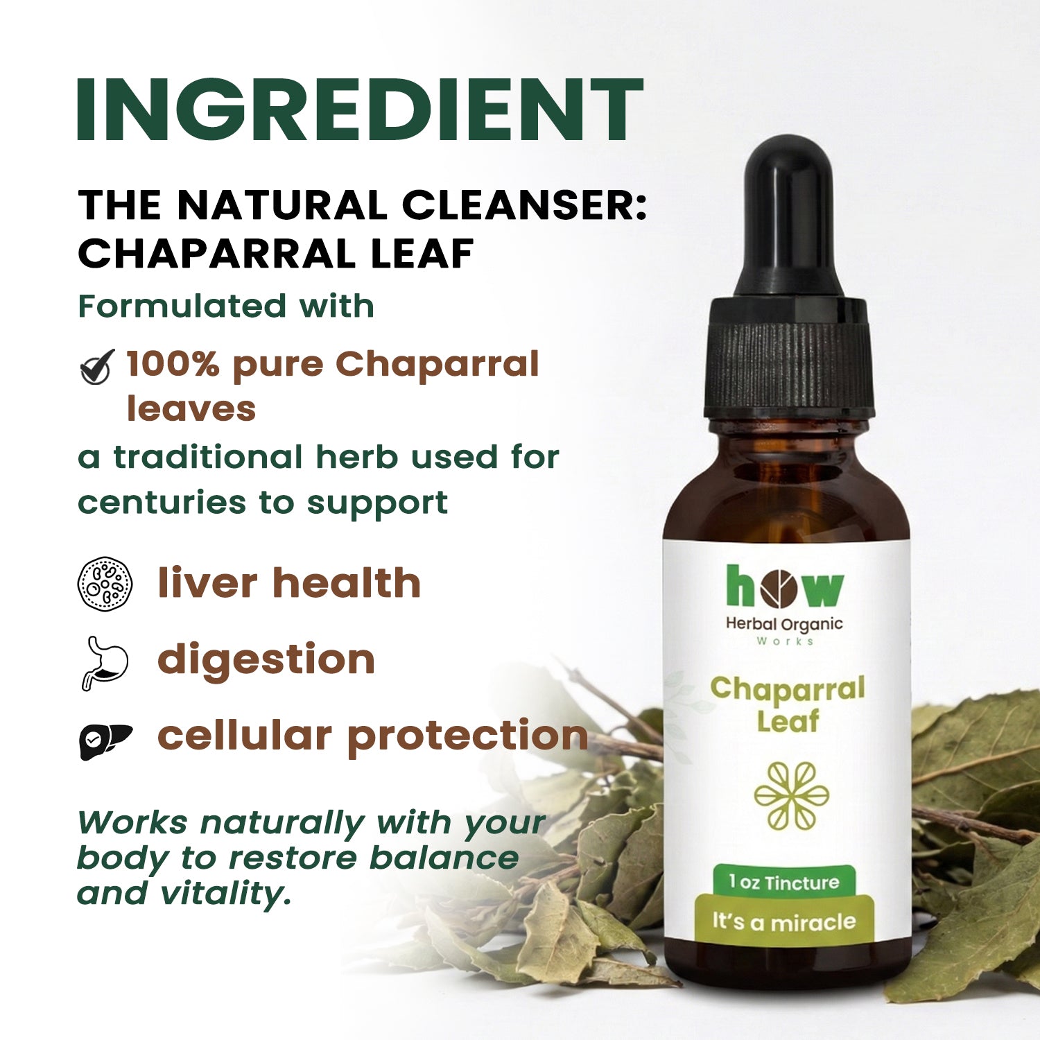 chaparral leaf extract ingredients