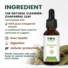 chaparral leaf extract ingredients