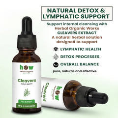 cleavers extract for enternal support