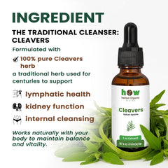 cleavers extract ingredients