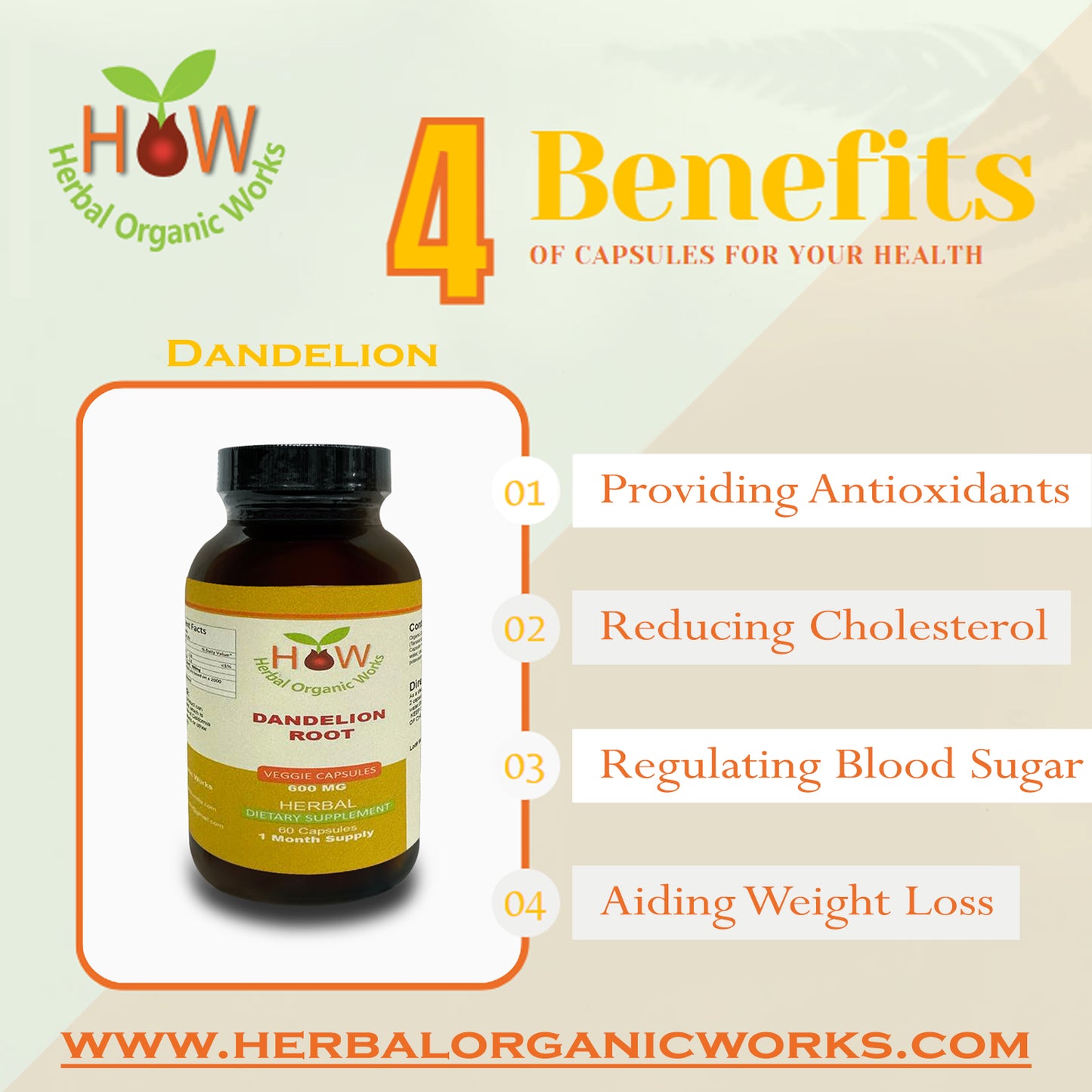 Dandelion Root | Reducing Cholesterol