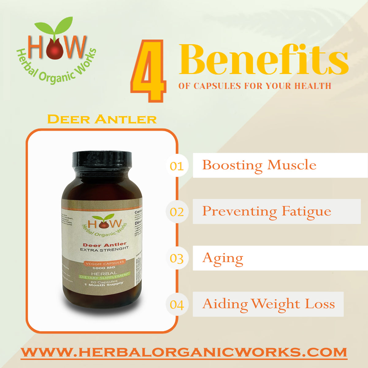 Deer Antler | Bone Health