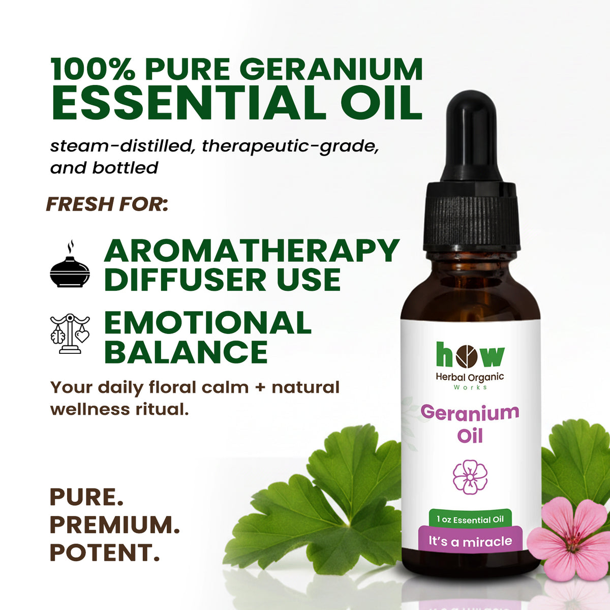geranium oil