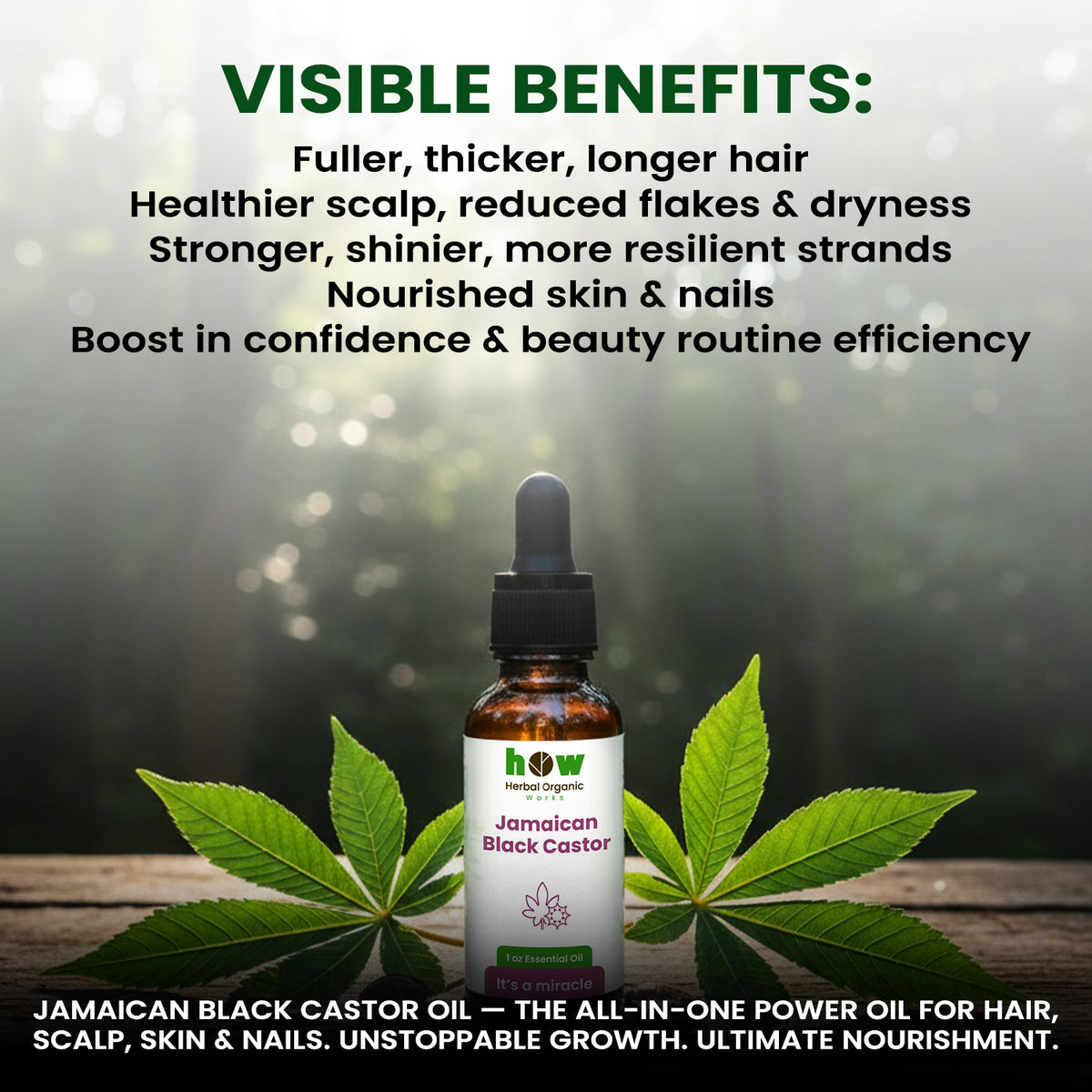 jamaican black castor oil benefits