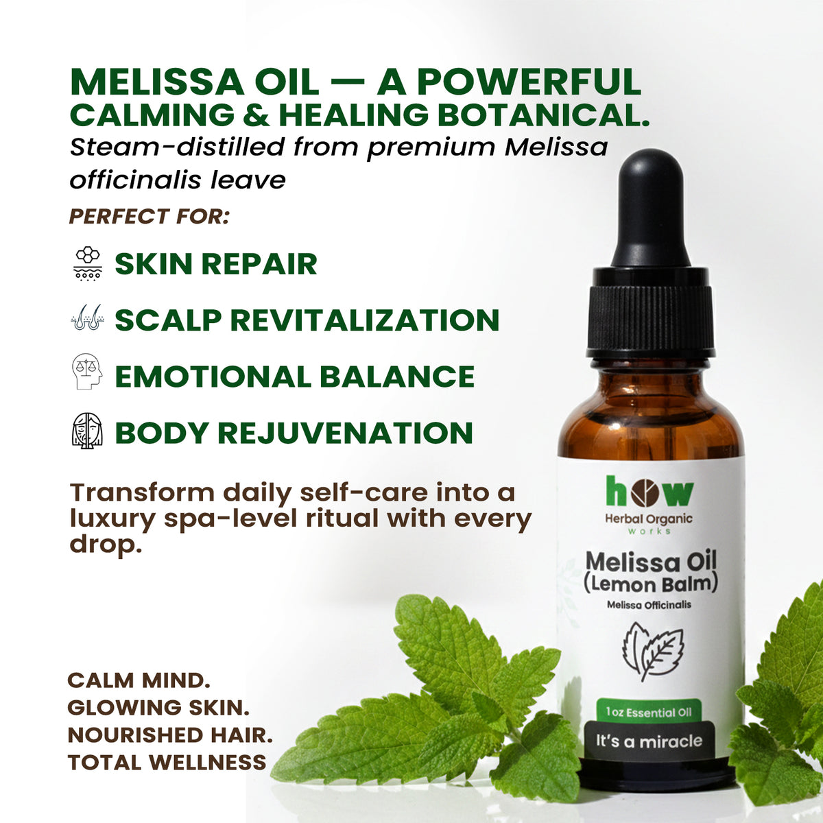best melissa oil 