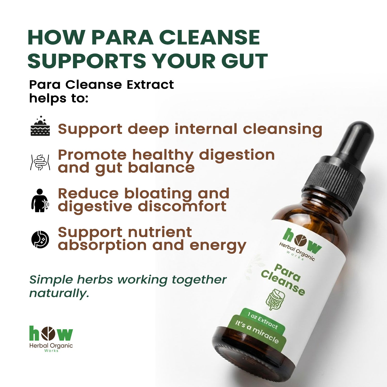 Para Cleanse Extract helps
