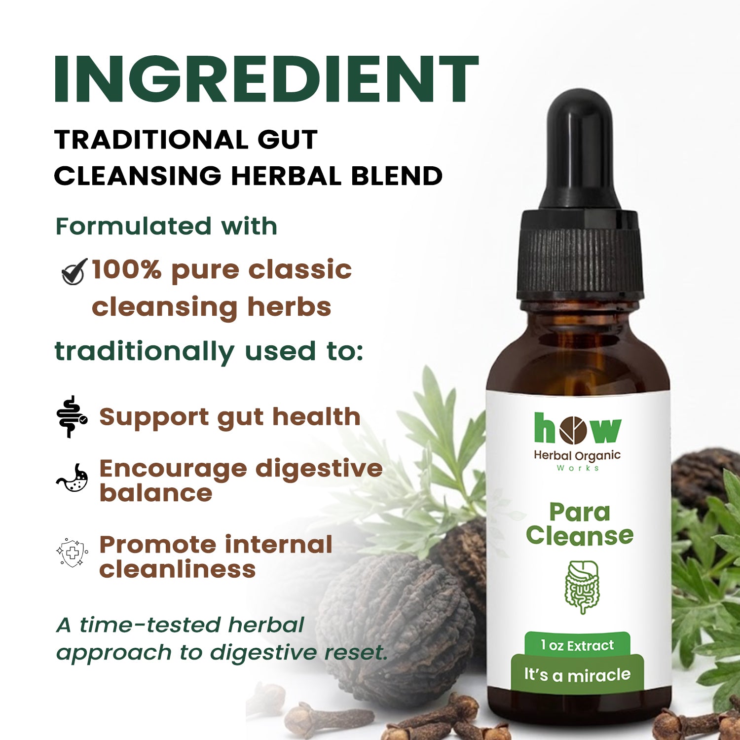 Para Cleanse Extract ingredients