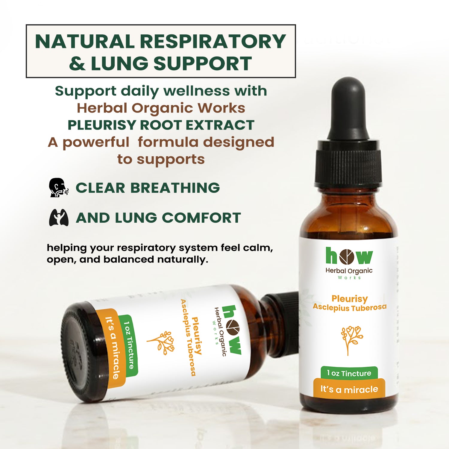 pleurisy asclepius tuberosa Extract 