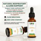 pleurisy asclepius tuberosa Extract 