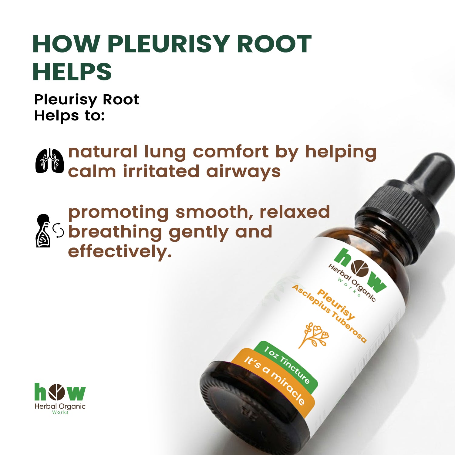 pleurisy asclepius tuberosa Extract helps
