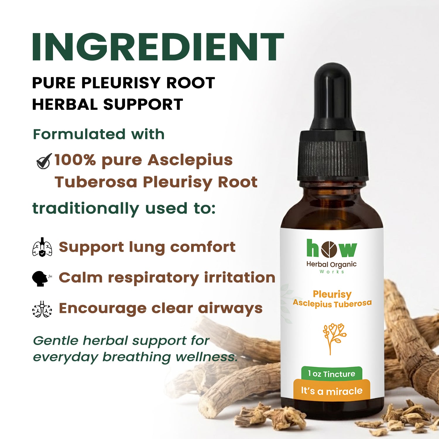 pleurisy asclepius tuberosa Extract ingredients