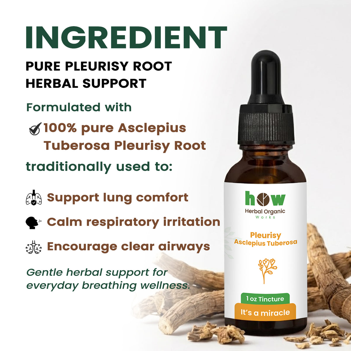 pleurisy asclepius tuberosa Extract ingredients