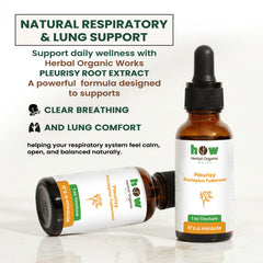pleurisy asclepius tuberosa Extract 