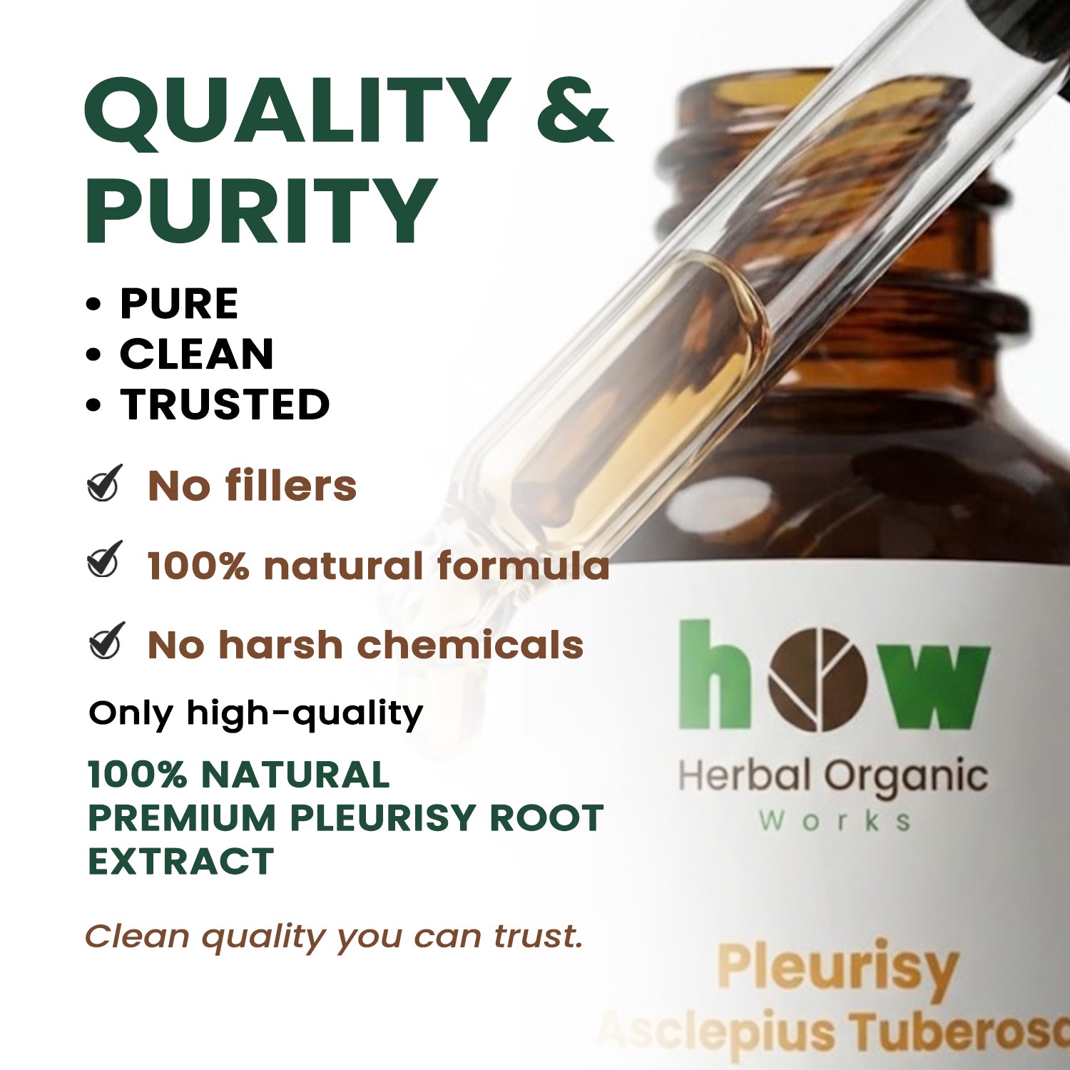 pleurisy asclepius tuberosa Extract quality