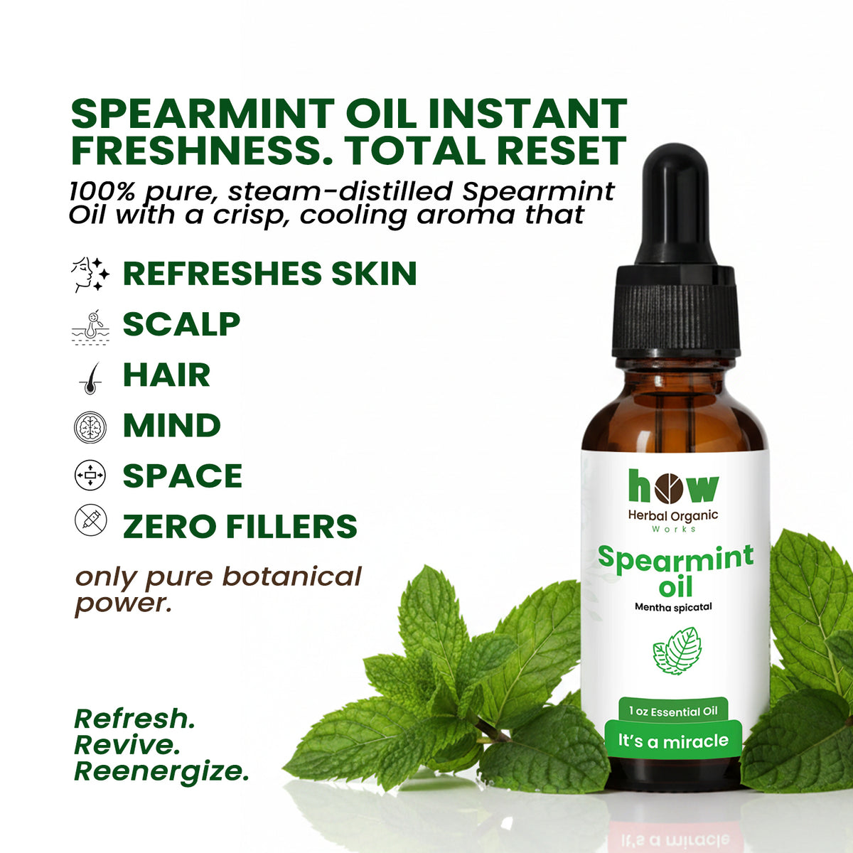 Spearmint Essential Oil – 30ml Premium Aromatherapy Oil
