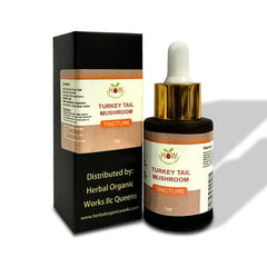 TURKEY TAIL MUSHROOM