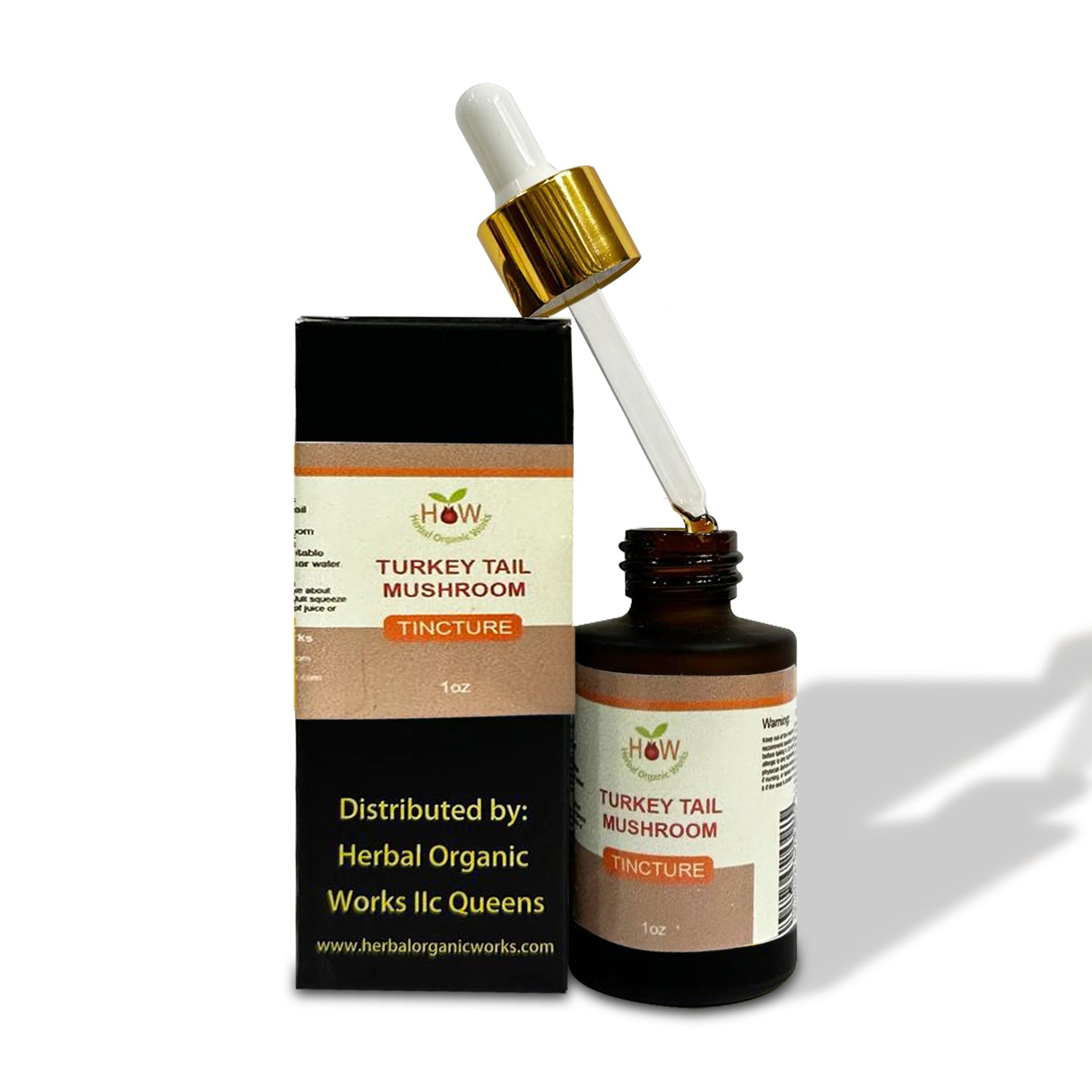 TURKEY TAIL MUSHROOM