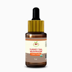 TURKEY TAIL MUSHROOM