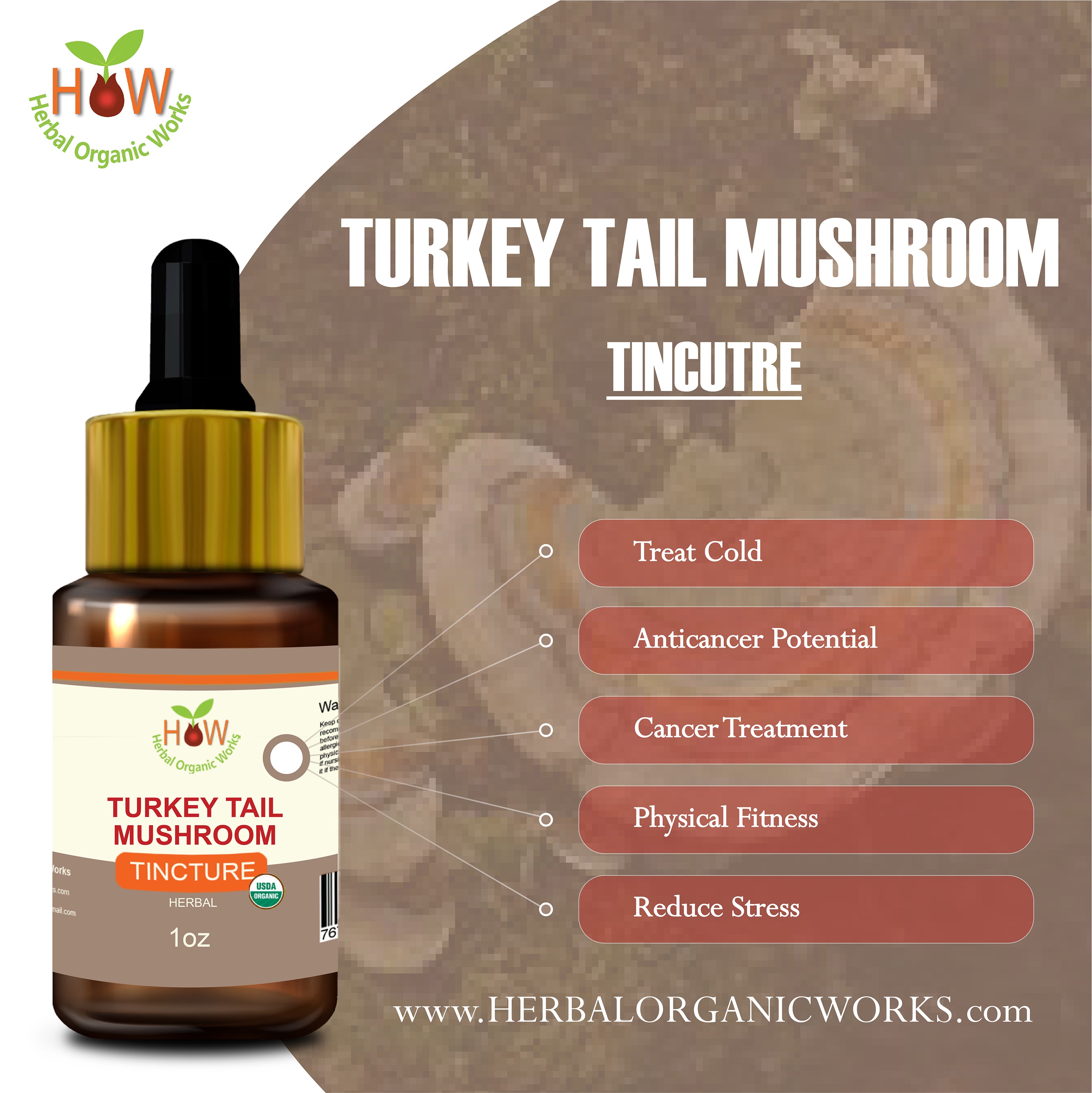 TURKEY TAIL MUSHROOM