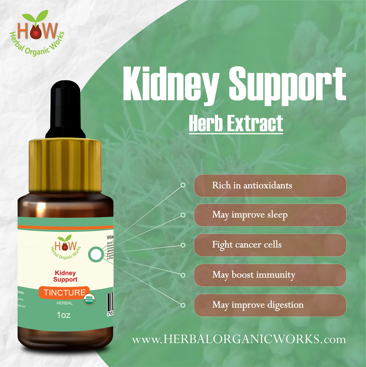 Kidney Support
