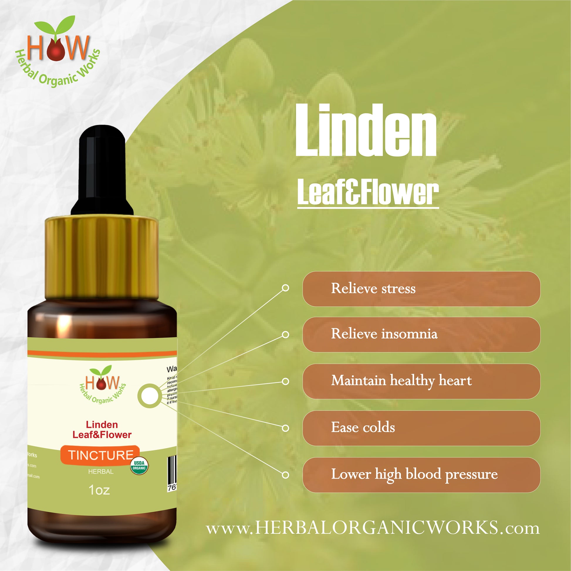Linden Leaf & Flower