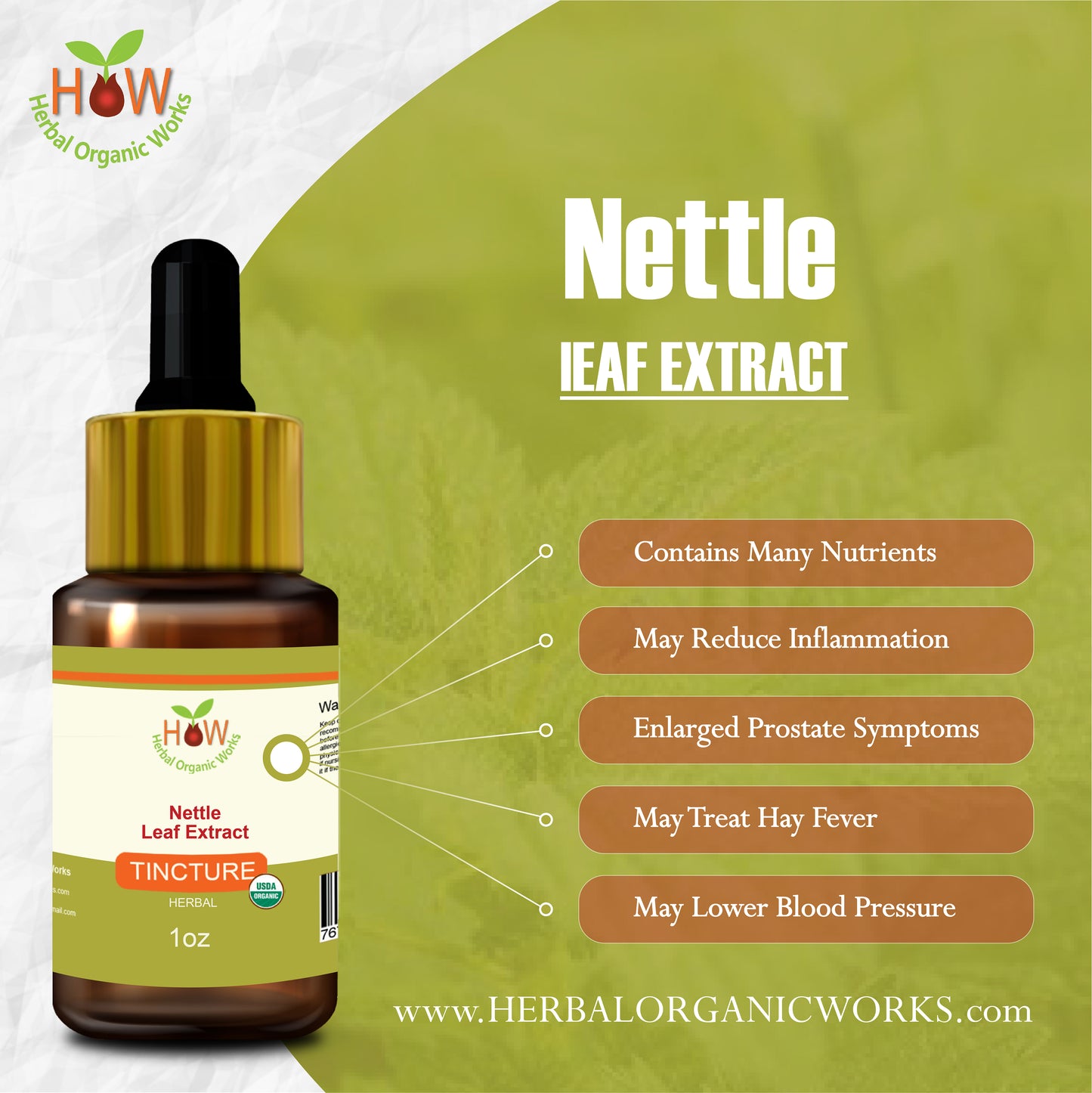 Nettle Leaf Extract