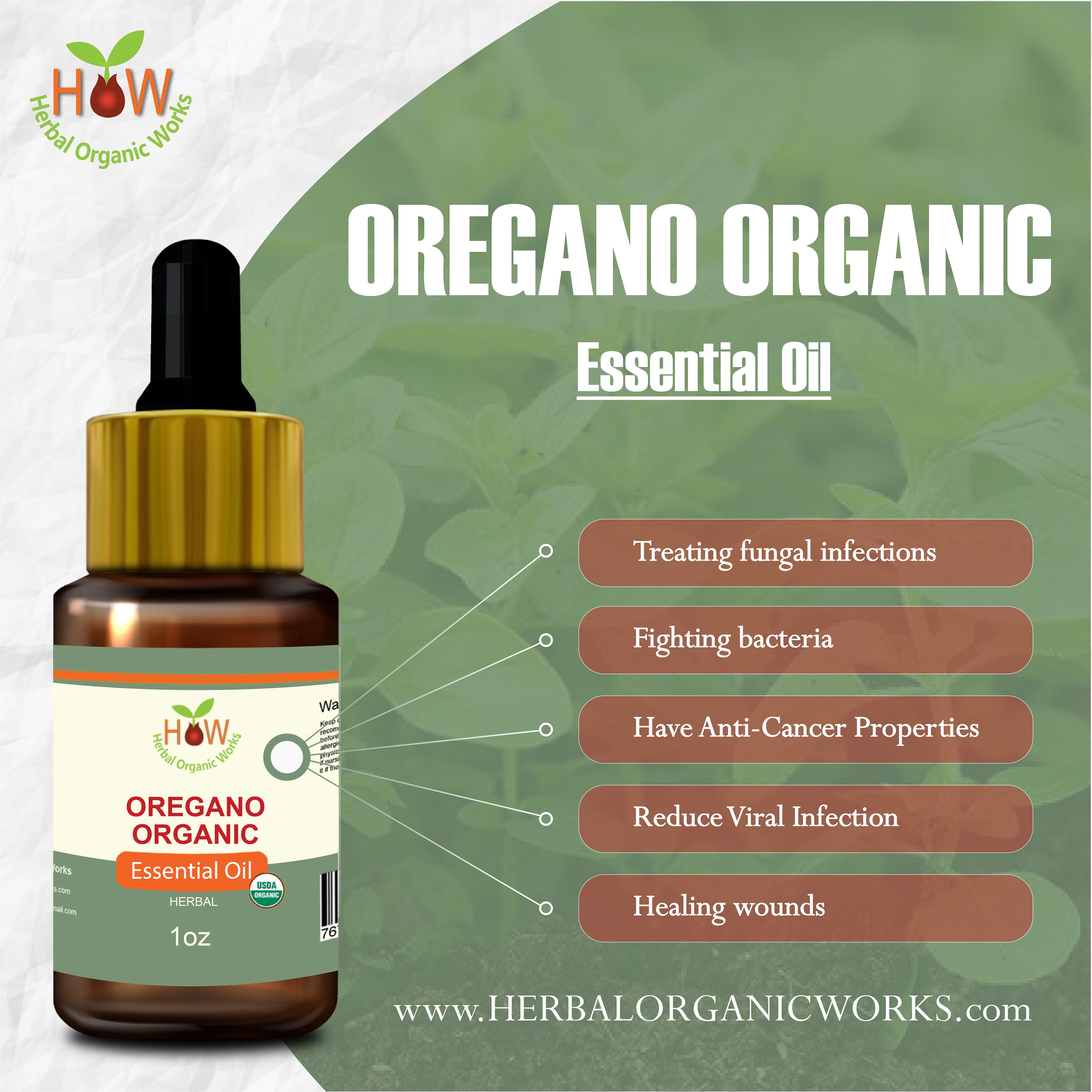 Oregano Organic