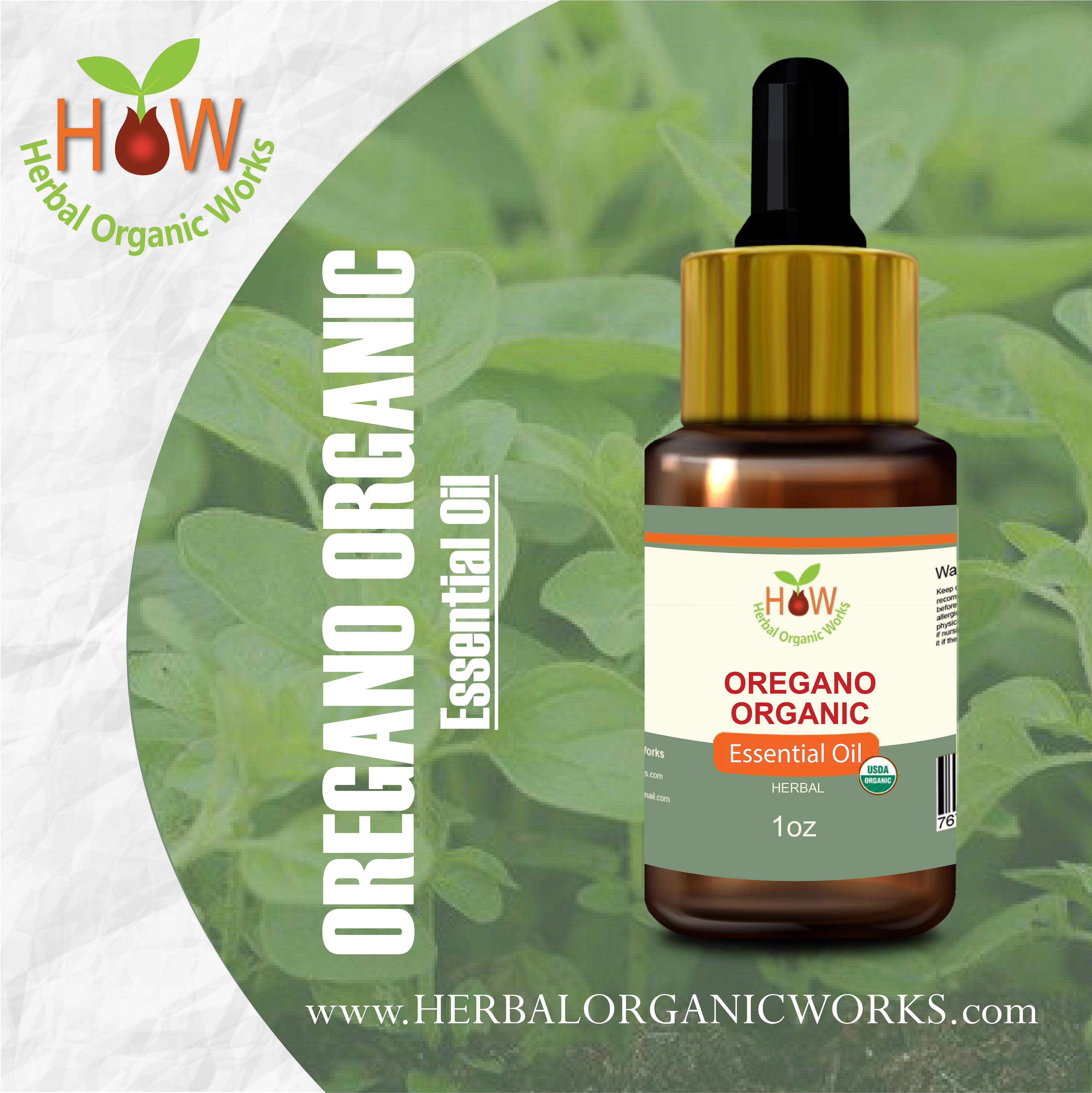 Oregano Organic