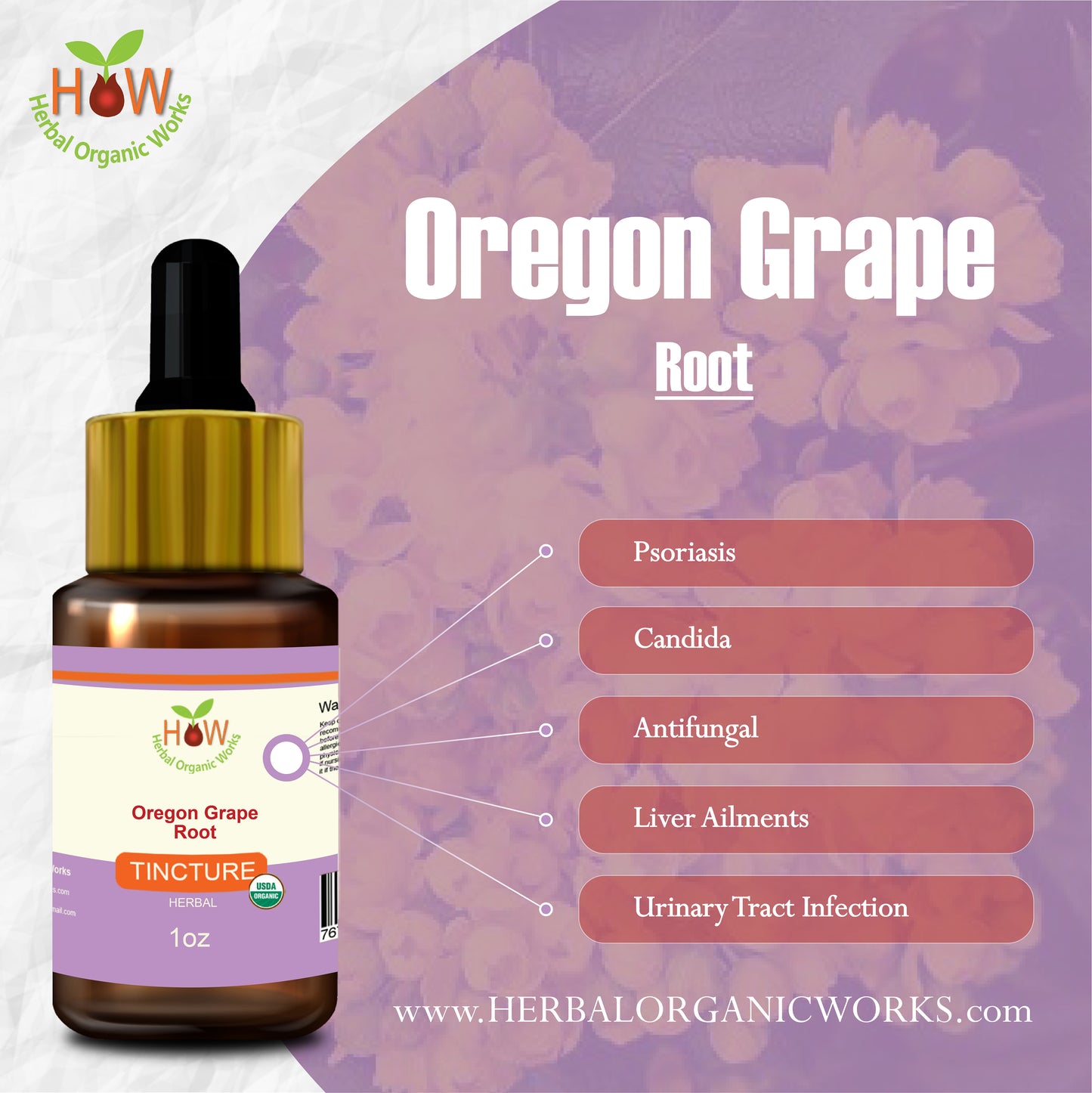 Oregon Grape Root