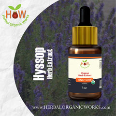 Hyssop
