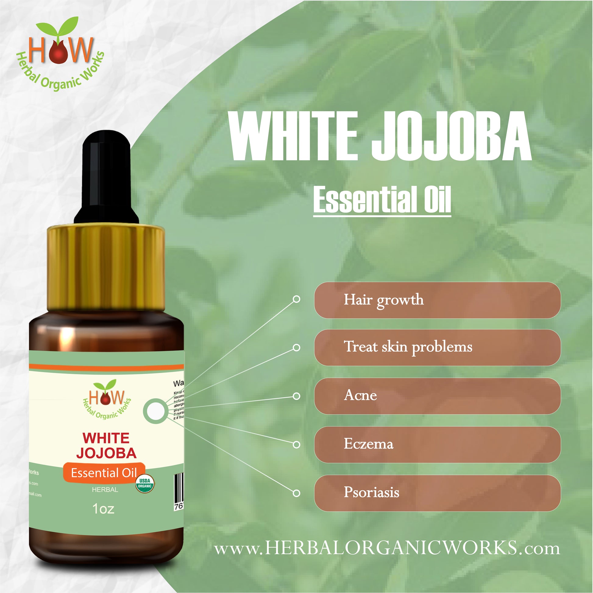 White Jojoba